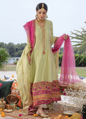 Zhaley Soft Green Kalidaar