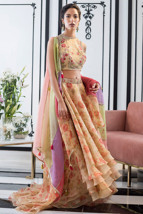 Organza Lehnga Choli