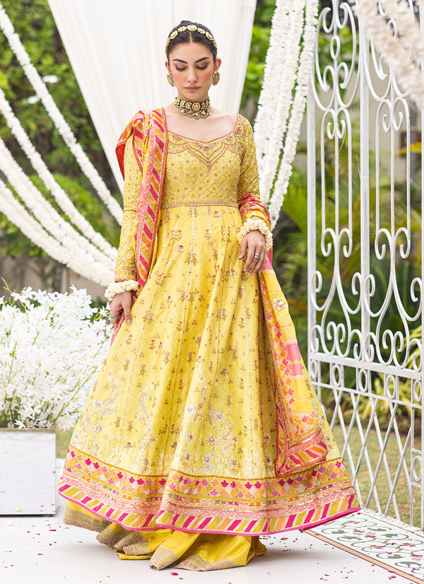 Azeeta Festive Couture - Mana Ombre Printed Kalidaar