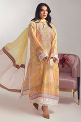 Ansab Jahangir Ayeza Luxury Silk '24 - AAHANA
