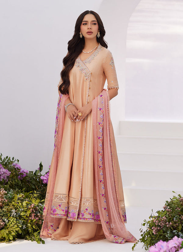 Zaza '24 - Lisette Fawn Embellished Raw Silk Angarkha And Dupatta