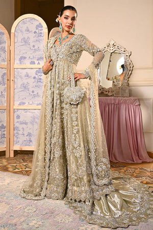 Heer Hierloon Bridals '25 - Nargis
