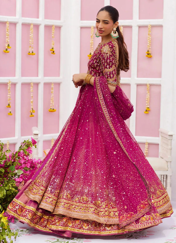 Amaltaas '25 - Ishana Magenta Kalidaar