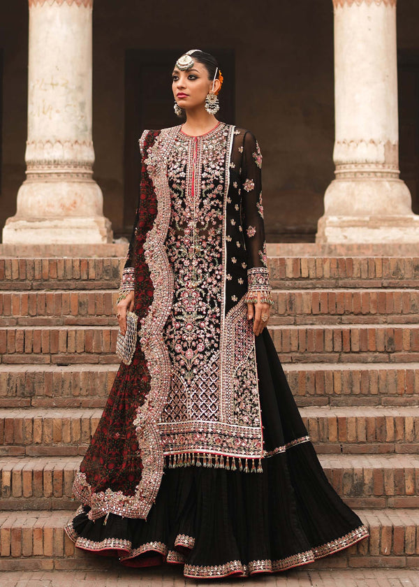 Tammam Collection '23 - Haqeeqat