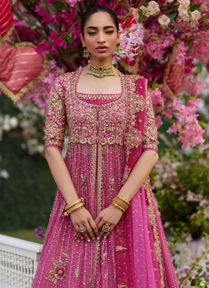 Amaltaas '25 - Inara Candy Pink Kalidaar