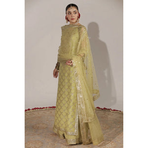 Jhil Mil '25 - Pistachio Green Outfit