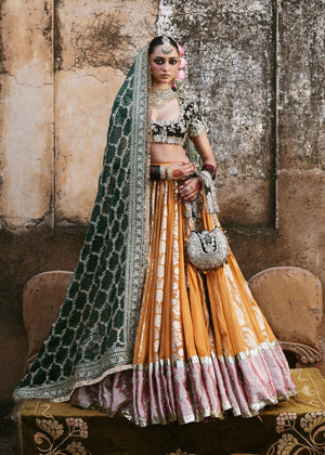Dilruba Couture '25 - Soraya