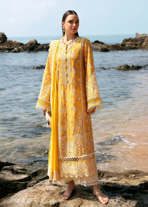 Mayal Lawn '24 - Elara