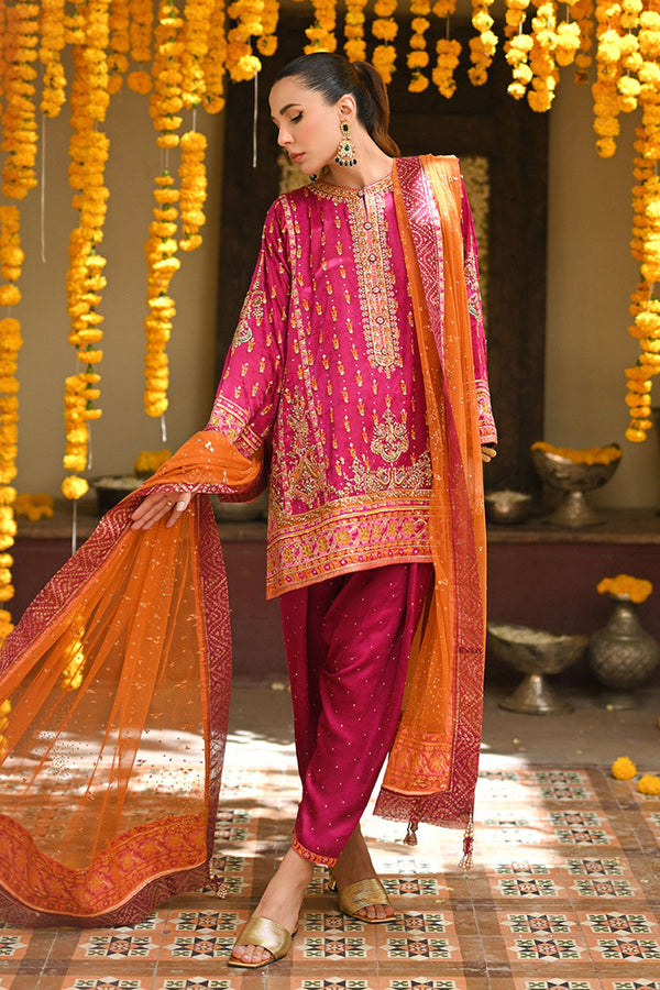 Amaltaas '24 - Klara Magenta Pink Panelled Shirt With Shalwar