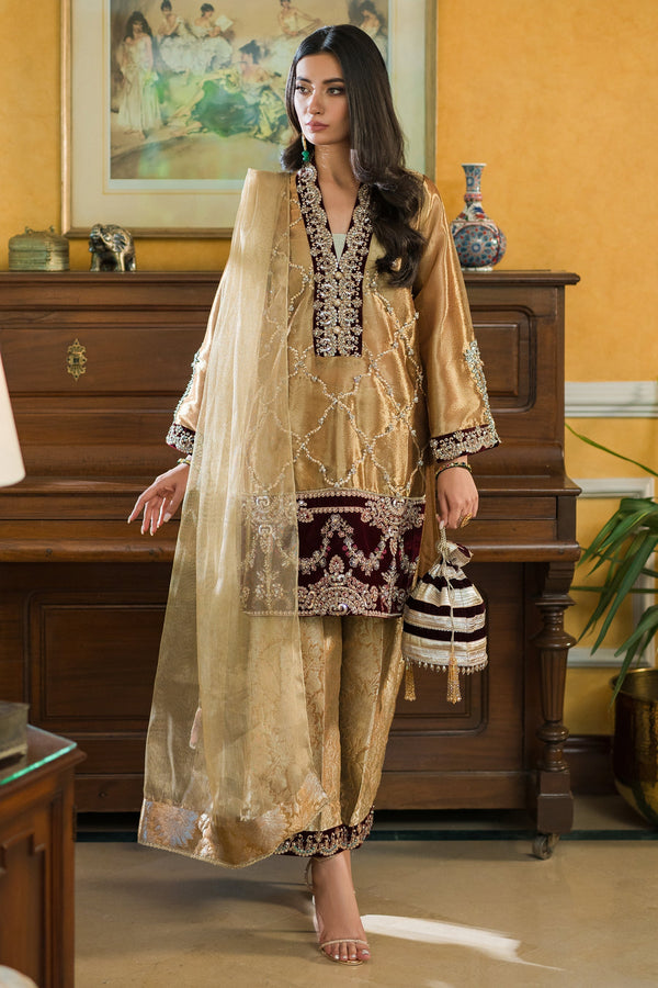 The Proposal 23 - Gold Tissue Kurta And Ezaar Set (D-10)