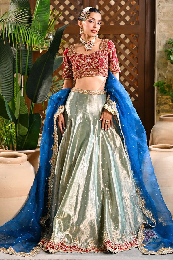 Heer Hierloon Bridals '25 - Zari