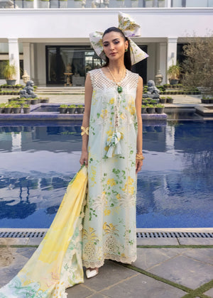 Flow Lawn '26 - TROPIC TEASE - D4B