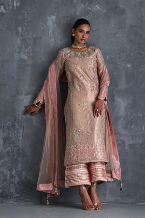 Vera Festive '25 - Dilrubah