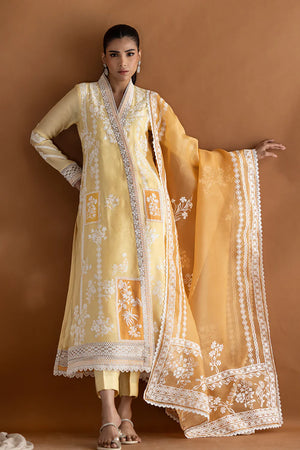 Summer Basics'25- Amber Luxe