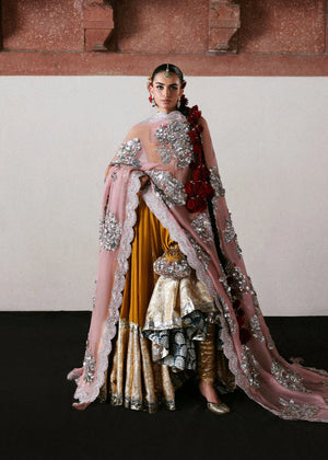 Dilruba Couture '25 - Elika