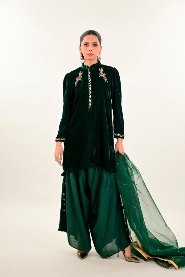 Green Jewels Same Dupatta As Shown