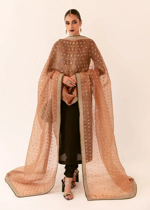 Chamak Damak - Del
