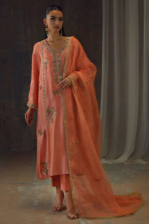 Setareh Edit '25 - Peach Zari Long Full Set