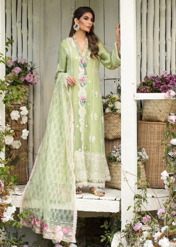 Chikankari - Mint Delight