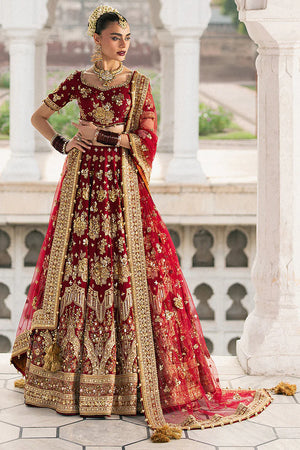 Zarlish Festive '25 - Bia Jaan (RTS)