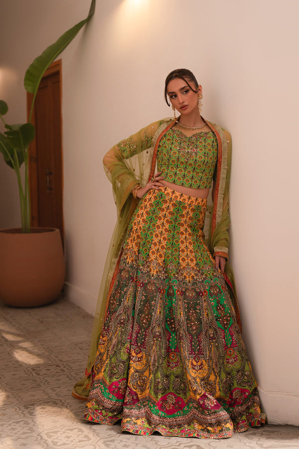 Ronaq'25 - Multi Kali Lehnga Choli (D-06)