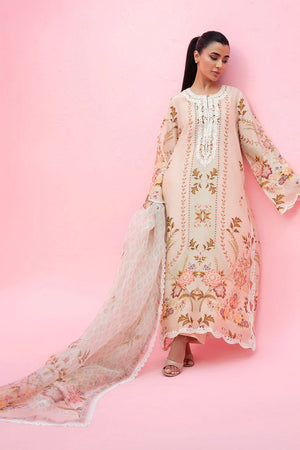 Summer Festive Capsule '26 - Ilsa
