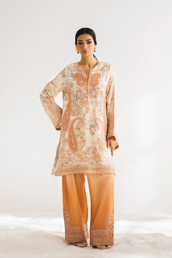 Boutique '25 - EMBROIDERED SUIT - E0798/104/227