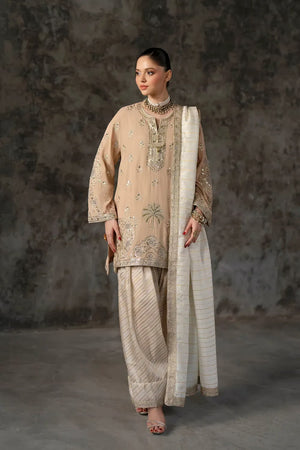 Boutique Collection Drop V - EMBROIDERED SUIT | E1012/104/113