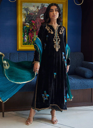 Velvet Revolt 23 - Vania Shirt And Dupatta