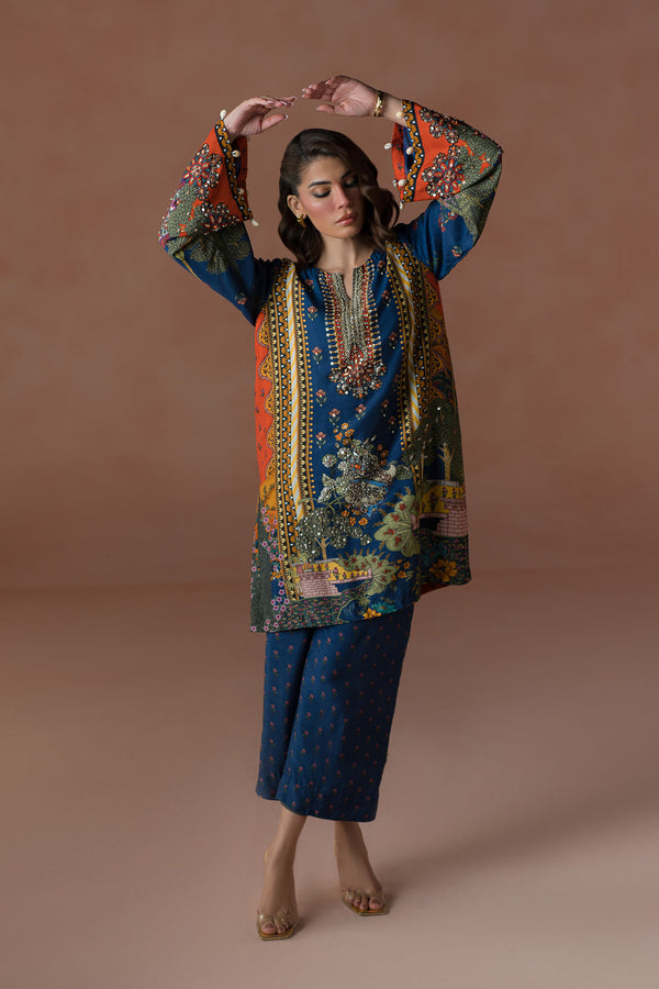 Luxe Edit '25 - Modern Mughal Multi Co-ord Set (D-01)