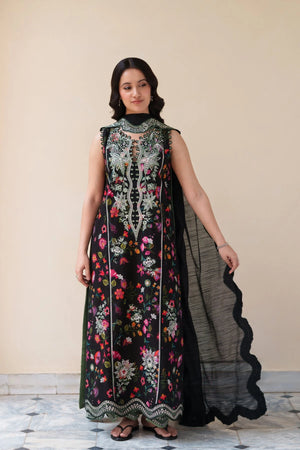 Dream Monsoon Spring '26 - BLOOMING BLACK LUXURY EMBROIDERED PRINTED PREMIUM COTTON 3PCS SET (NEL-26629)