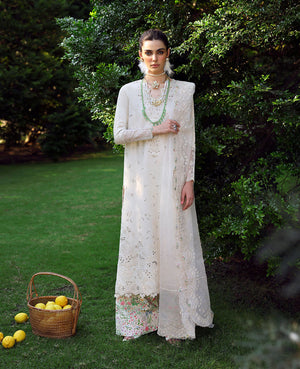 Embroidered Pret '25 - M-143