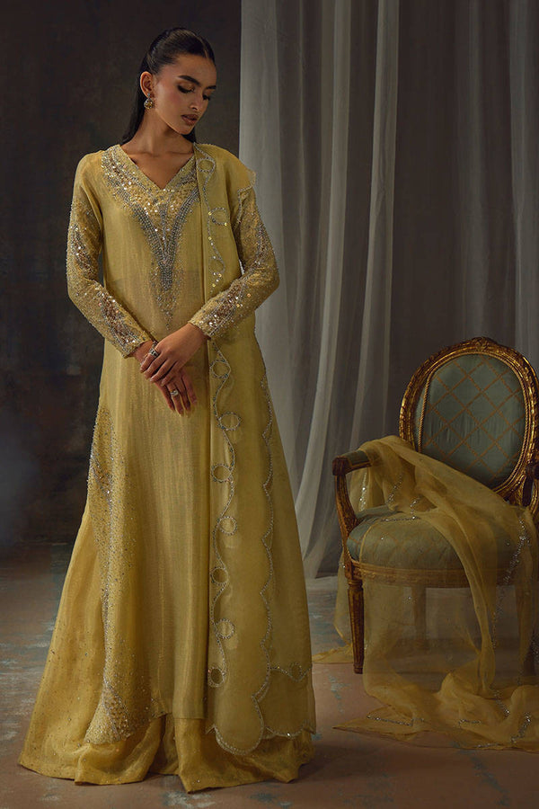 Setareh Edit '25 - Gold Starburst