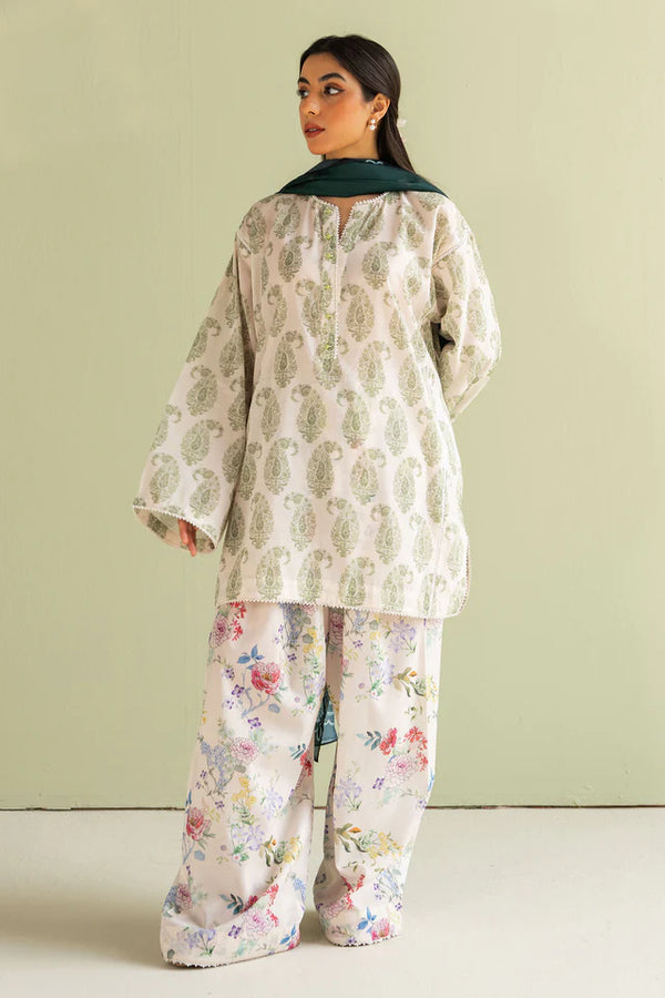 Prints '25 - Paisley-6B