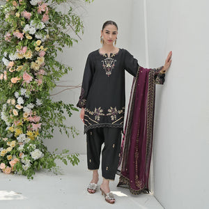 Occasion Wear '25 - RUVA FULL SET
