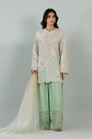 Eid Edit '26 - Stitched Embroidered Raw Silk Suit | SS26EXE613P3
