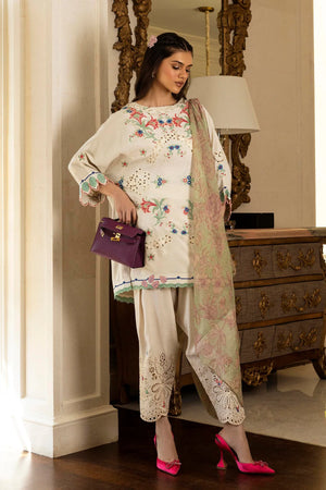 Eid Edit '26 - Stitched Embroidered Raw Silk Shirt+ Shalwar | SS26SM050P2T
