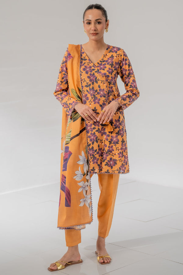 Unstitched '25 Vol II - Rustic 3 Piece