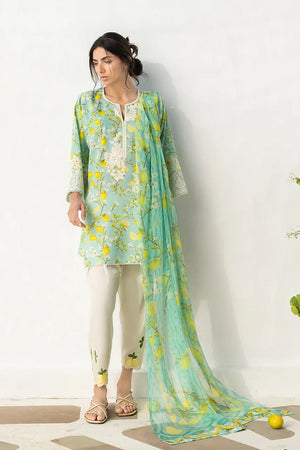 Unstitched Lawn '26 - Ambar (A)