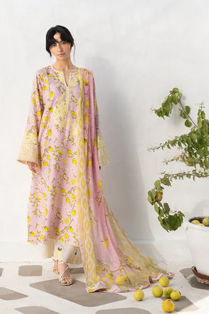 Unstitched Lawn '26 - Ambar (B)