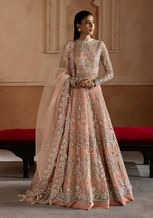 Wedding Festive '25 - Amireh