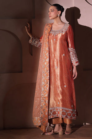 Celebration Wear Light Formals '26 - Amber Rose