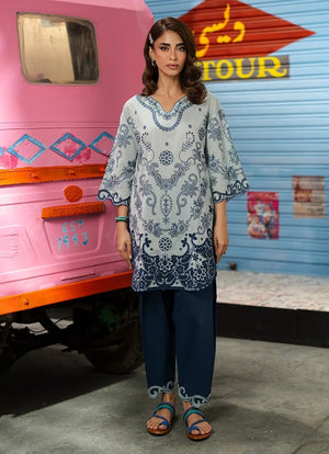 Desi Detour '26 - Embroidered CO-ORD Set | 16510/401/304