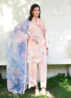 Spring Printkari '26 - Fizzel