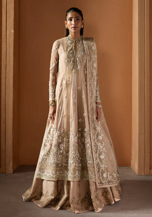 Wedding Festive '25 - Parizad