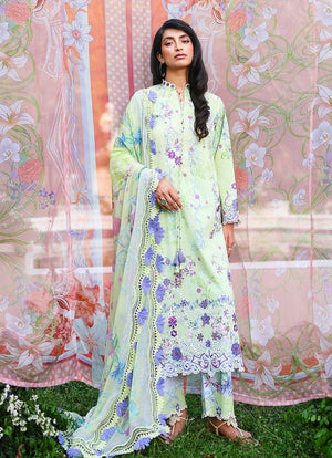 Spring Printkari '26 - Pistara