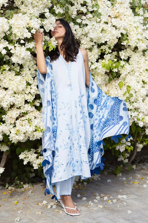 Unstitched Lawn '26 - Reva (B)