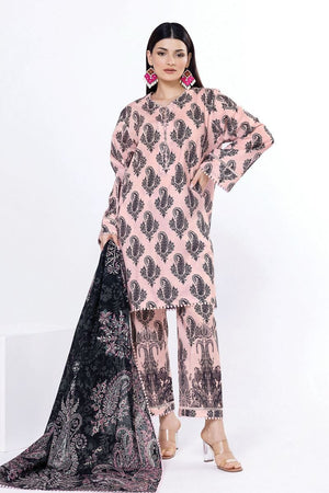 The Print Story- SLN03B